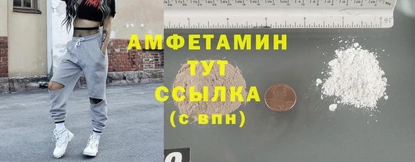 спиды Северская