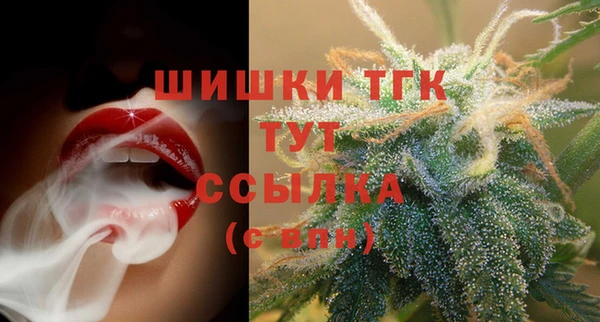 спиды Северская