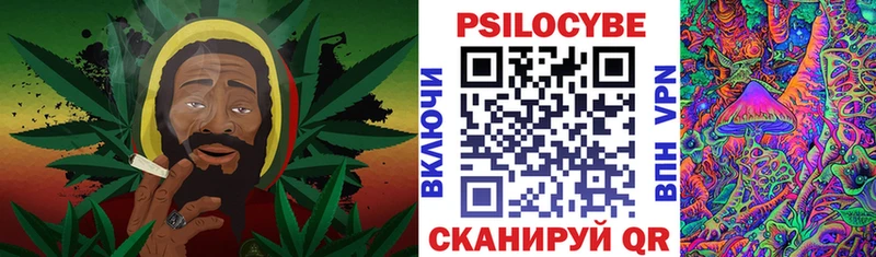 Галлюциногенные грибы Psilocybe  сколько стоит  Аркадак 