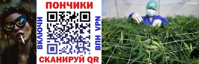 Бошки Шишки конопля  Аркадак 